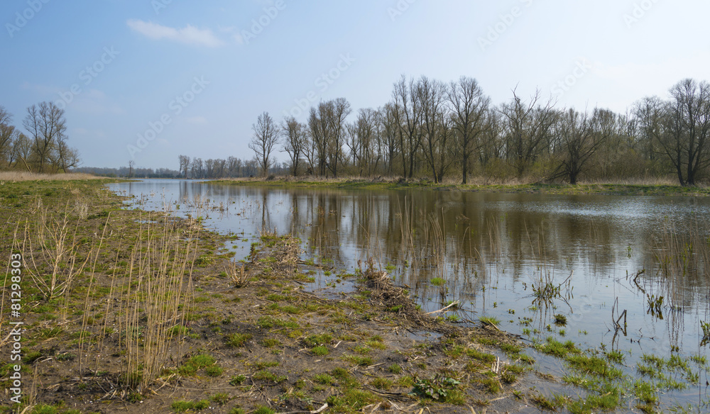 The shore of a lake in spring under a blue cloudy sky