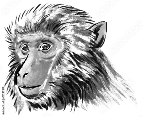 猿のリアルな斜め顔 Stock 写真 Adobe Stock