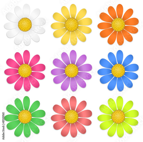 Set Bunte Blumen