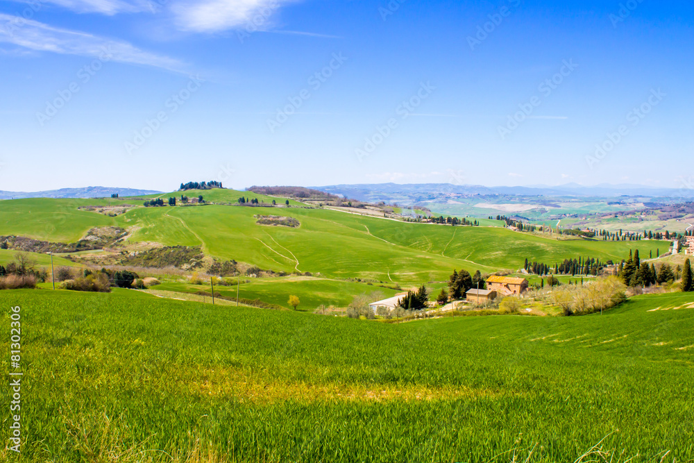 tuscan landscape, view of the green Val D'Orcia