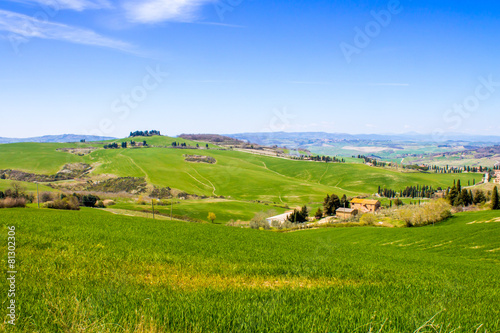 tuscan landscape, view of the green Val D'Orcia