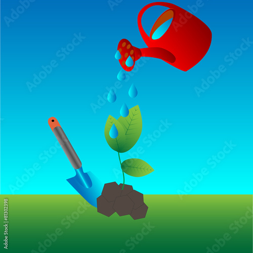 planting seedlings in the ground