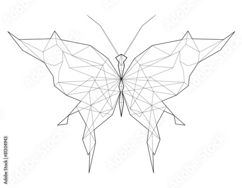 Butterfly. Low polygon linear vector illustration