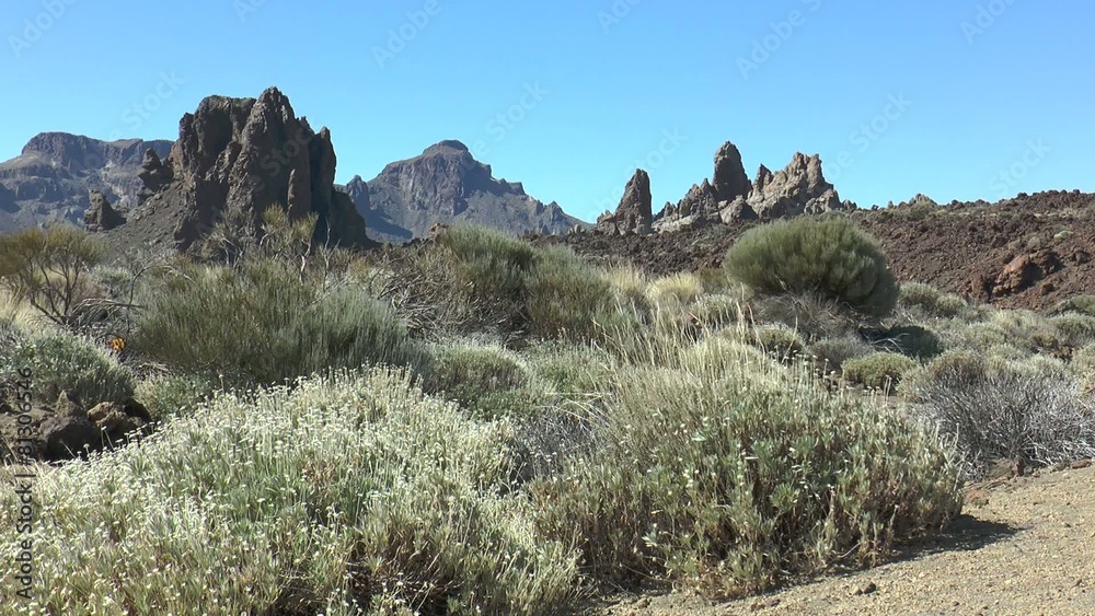 désert désert