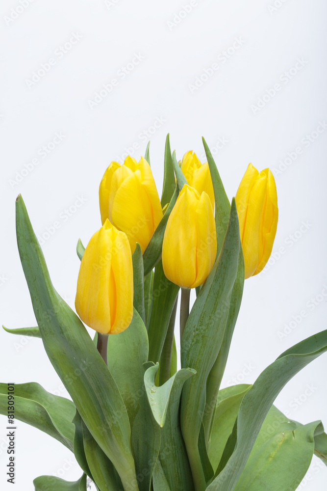 Naklejka premium Flower bouquet from yellow tulips