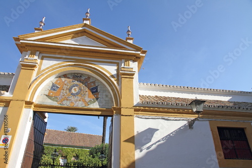 Duenas palace Seville Spain photo