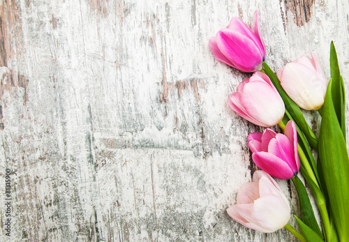 Slika na platnu Border with pink tulips