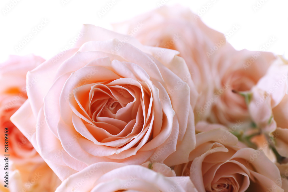 Bouquet of beautiful fresh roses, closeup Bouquet of beautiful fresh roses, closeup