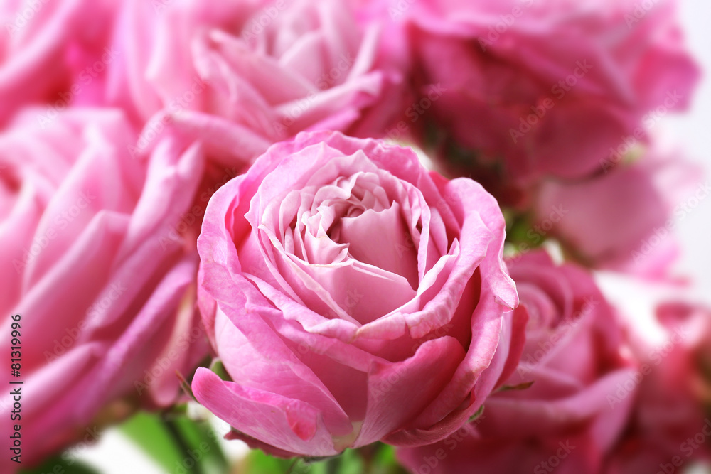 Bouquet of beautiful fresh roses, closeup Bouquet of beautiful fresh roses, closeup