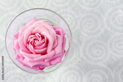 Beautiful fresh rose in glass on color wallpaper background