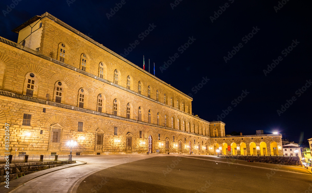 View of the Palazzo Pitti in Florence - Italy