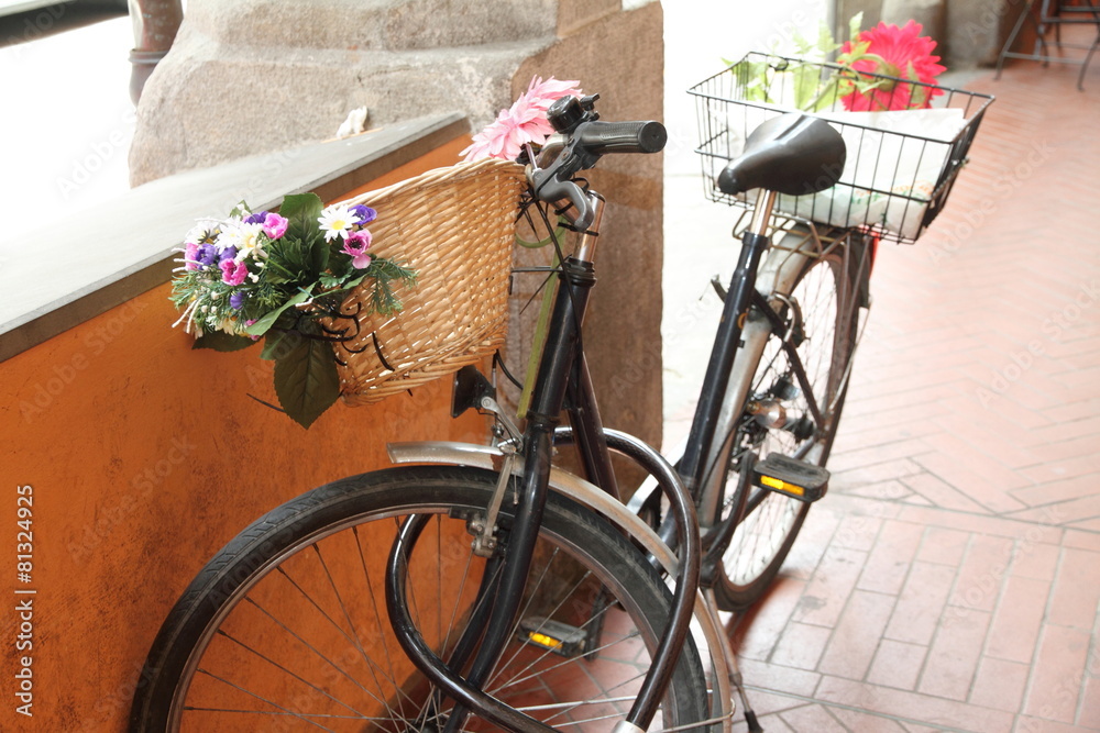Flowered bike, Arcades, Bologna, Emilia Romagna, Italy