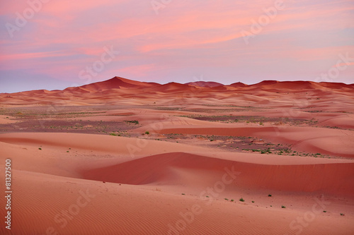 View of Sahara desert in Merzouga  Morocco  at sunset