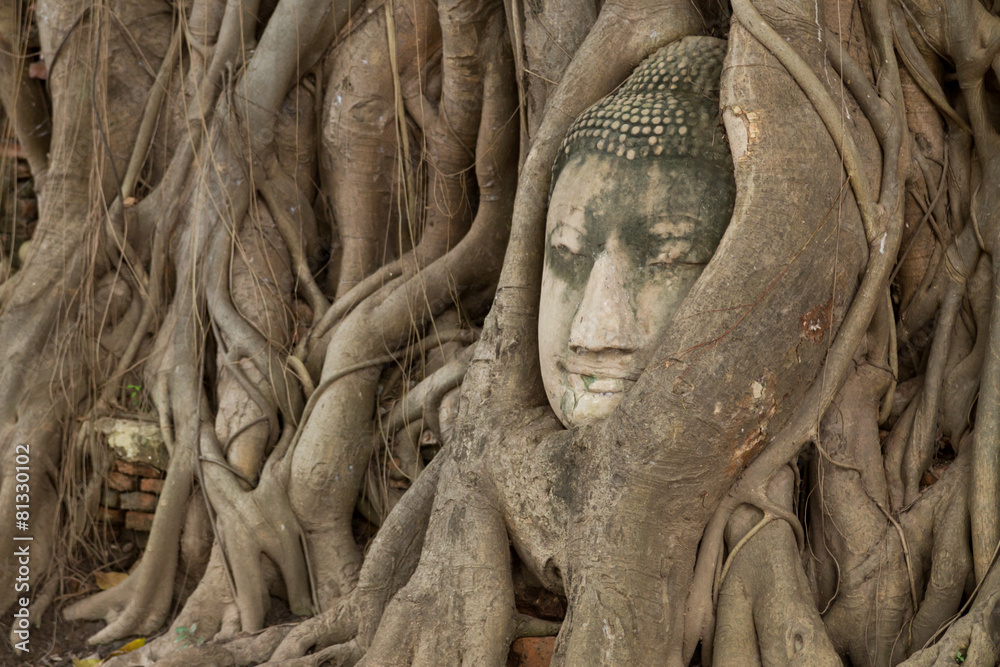 Buddha and Pagoda statue Ayutthaya-Thailand.