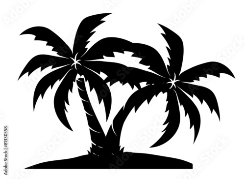 Beach Palm Trees