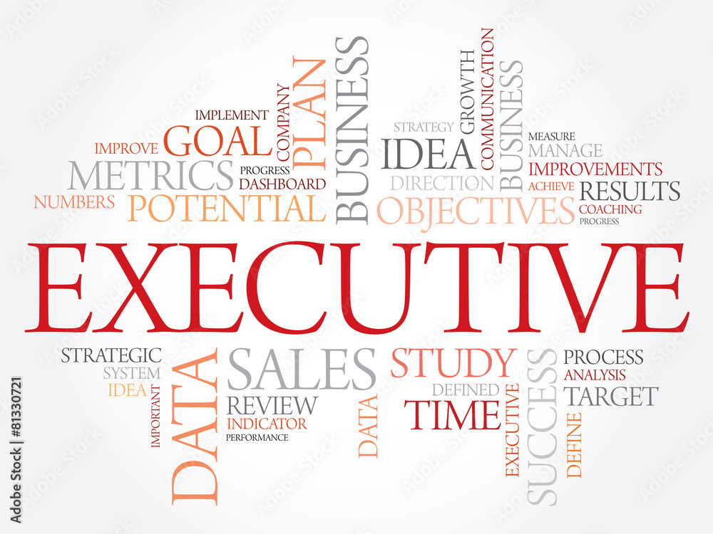 Fototapeta premium Executive word cloud, business concept