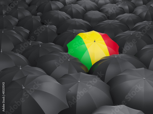 Umbrella with flag of mali