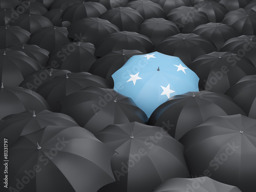 Umbrella with flag of micronesia