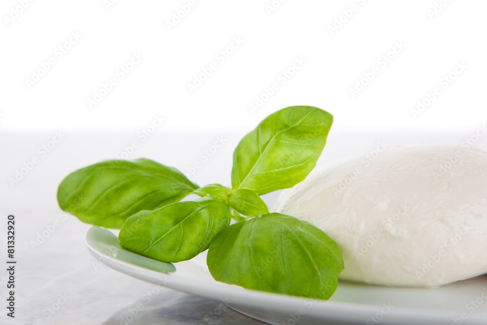 Fototapeta premium Mozzarella mit frischem Basilikum