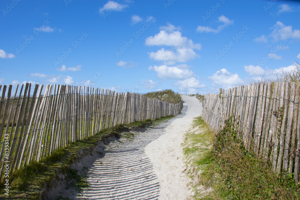 Fototapeta premium Dunes