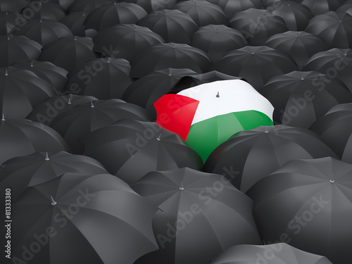Umbrella with flag of palestinian territory