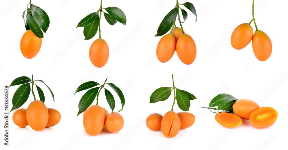 Set of Marian plum fruit isolate on white background(Mayongchid Set of Marian plum fruit isolate on white background(Mayongchid