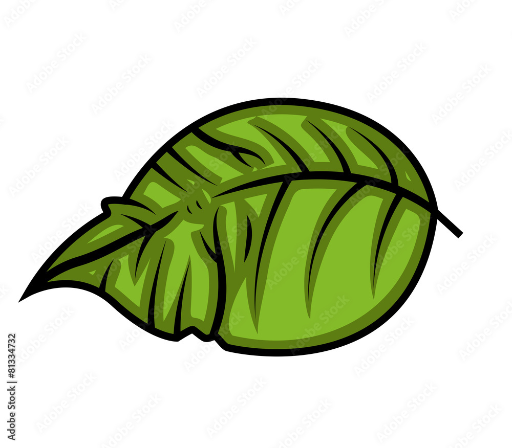 Naklejka premium Green Leaf Vector