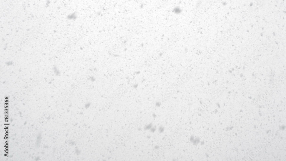 Slowly falling big real snowflakes against white sky Slowly falling big real snowflakes against white sky