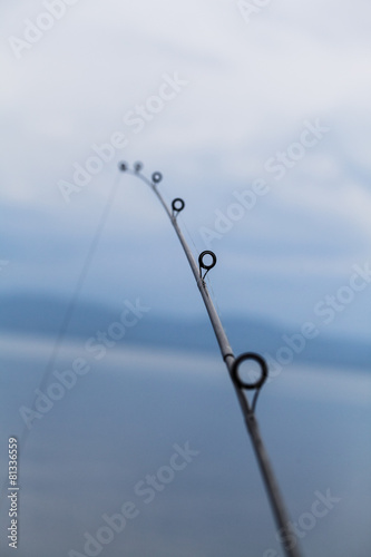 Detail of a Fishing Rod