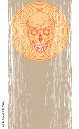One skull on a gray background
