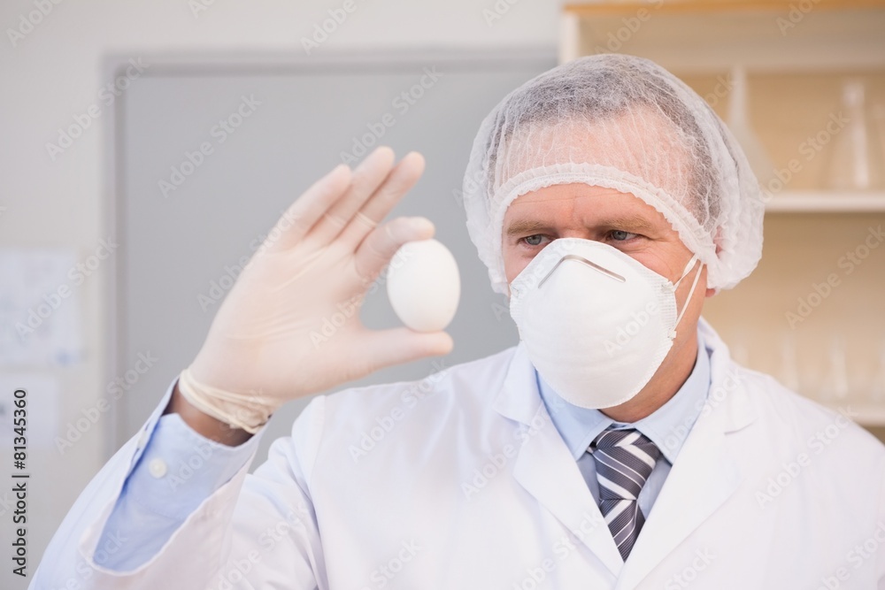 Food scientist holding an egg Food scientist holding an egg