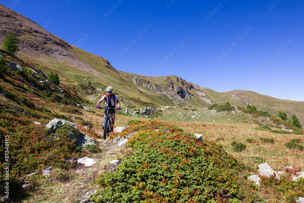 Naklejka premium Mountain bike in montagna