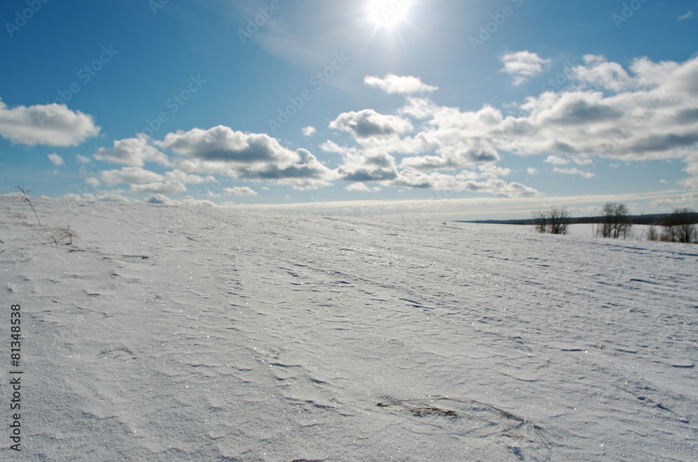 Fototapeta premium Winter scene
