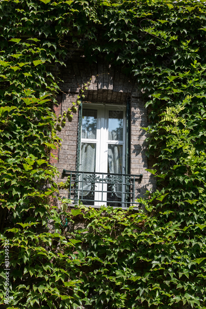 Paris - Old house covered by ivy in Montmartre.