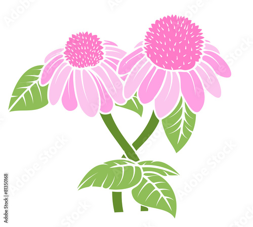 Fototapeta Naklejka Na Ścianę i Meble -  Vintage Pink Blossoms