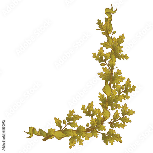 Gold Oak branch