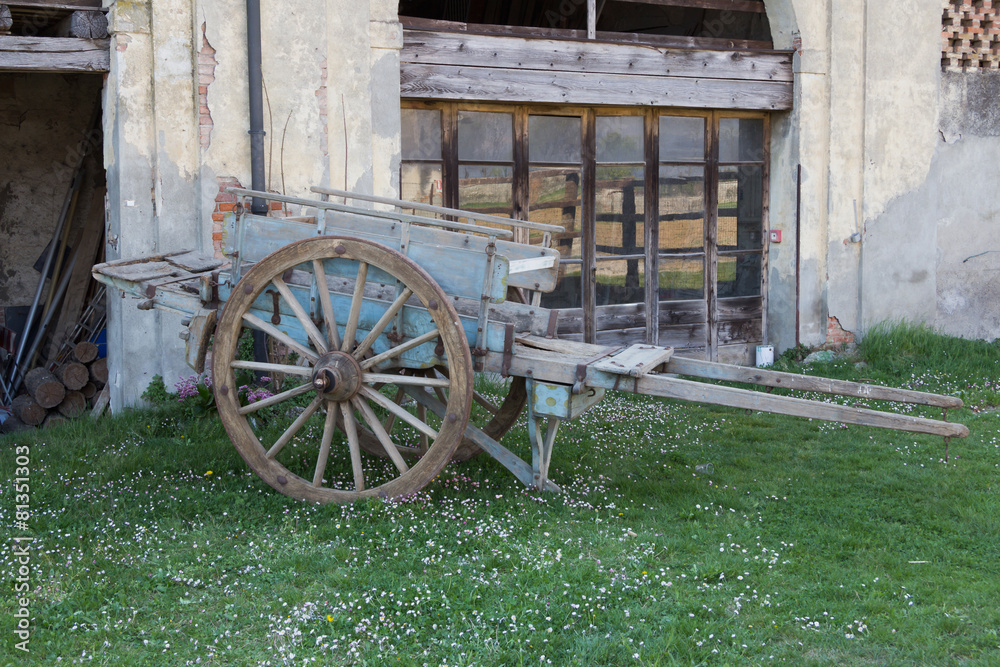 Obraz premium Carriage