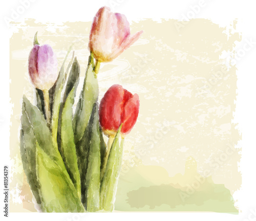 Bouquet of tulips. Watercolor illustration