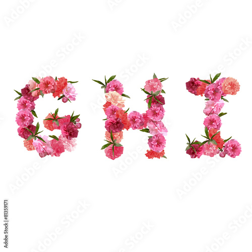 Fototapeta Naklejka Na Ścianę i Meble -  Alphabet of pink beautiful sakura flowers letters nature