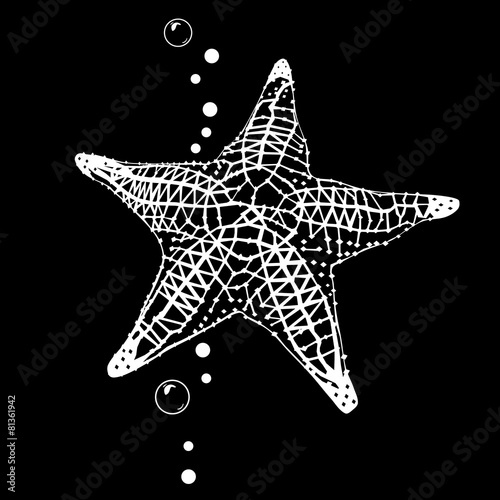 Starfish. Motivi marini.  Black and white grafica.