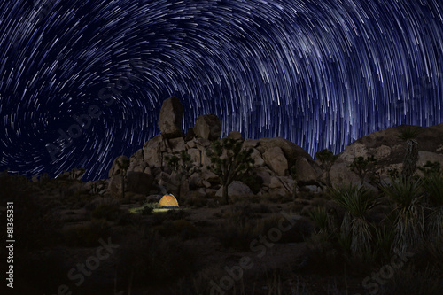 Long Exposure Star Trails In Joshua Tree National Park photo