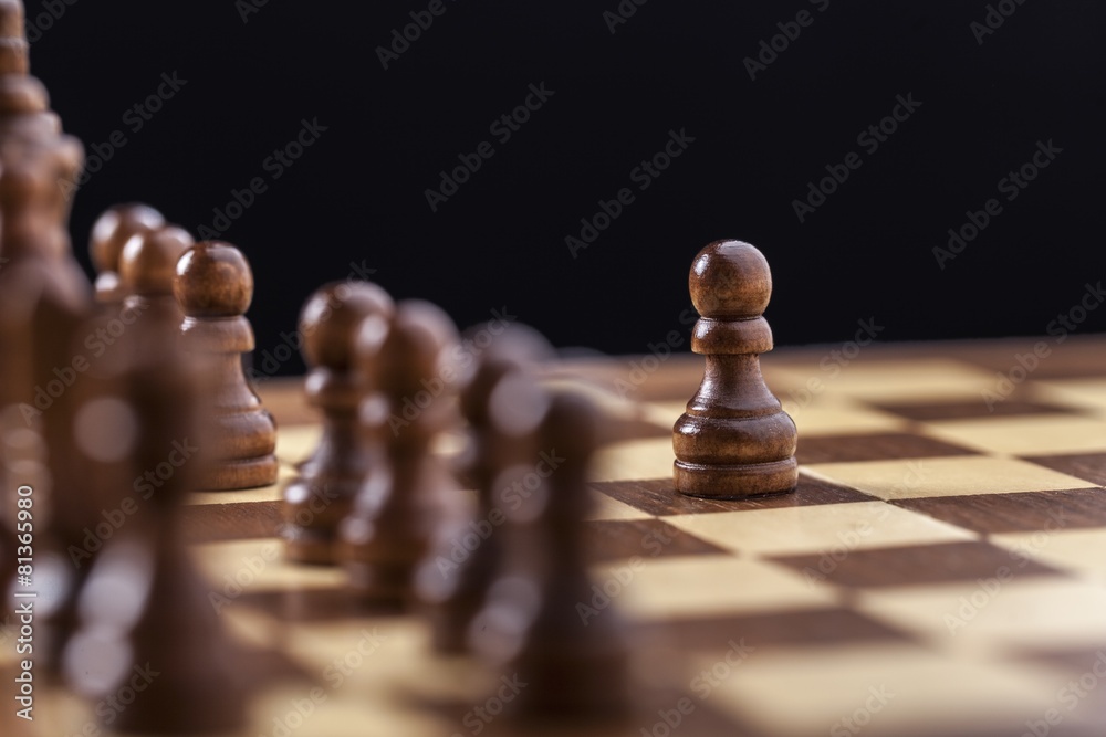 Chess. Chess game