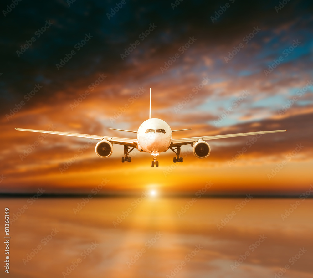 Fototapeta premium plane lands on the runway
