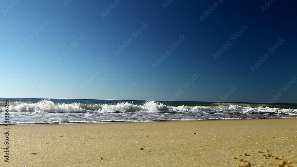 Scène de vagues en bord de mer