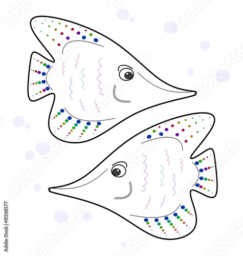 two angelfishes