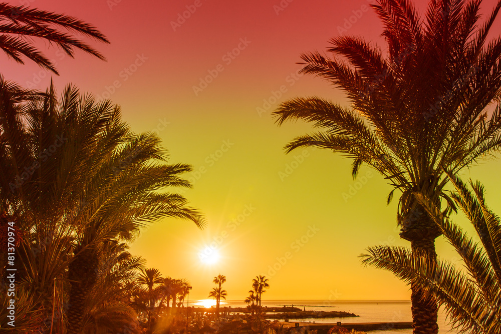 Obraz premium Sunset over tropical bay with palms