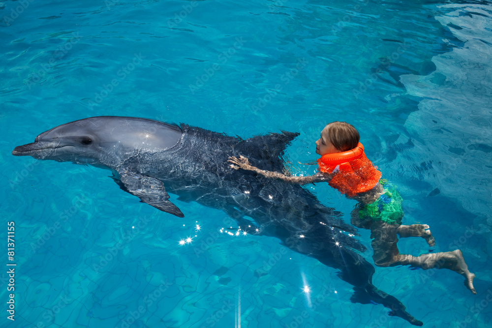 Fototapeta premium Little Girl and the Dolphin in Swimming Pool