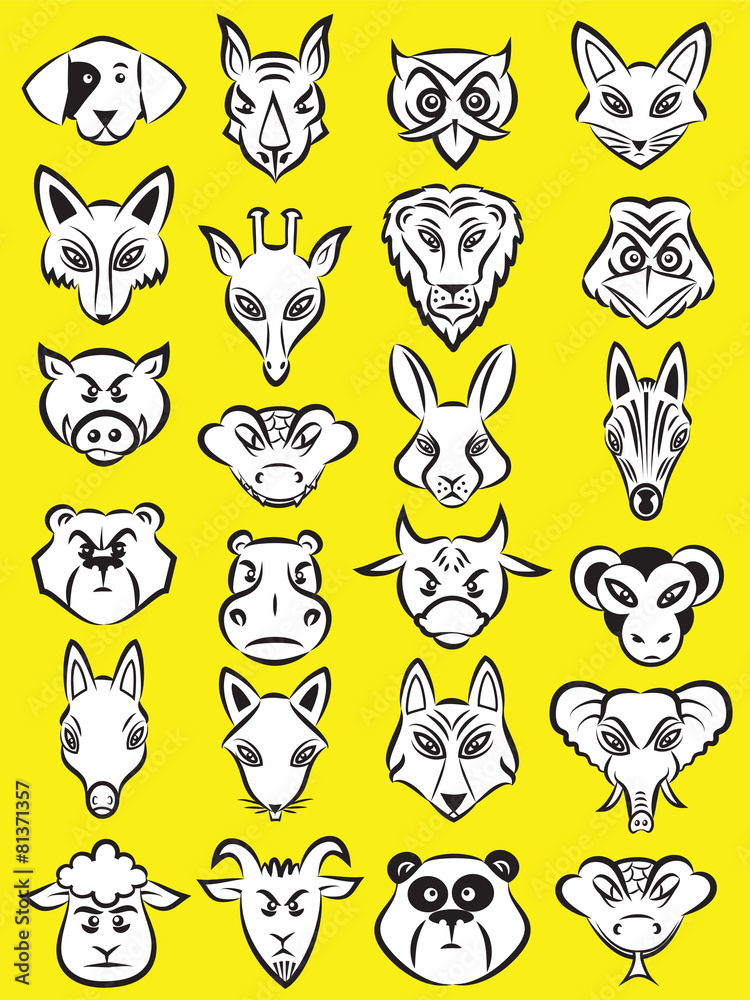 Animals Animals
