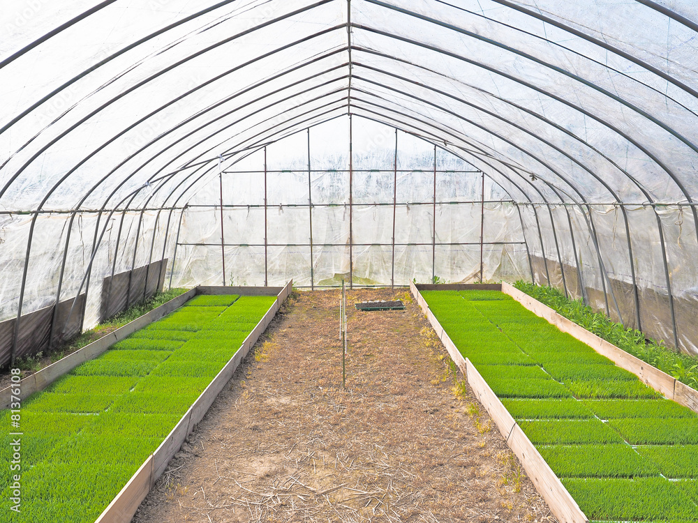 ビニールハウス