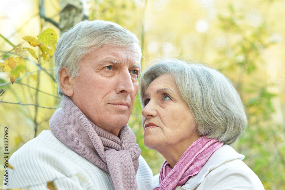 Portrait of a  senior couple